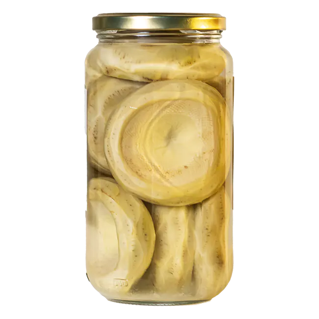 أرضي شوكي -02